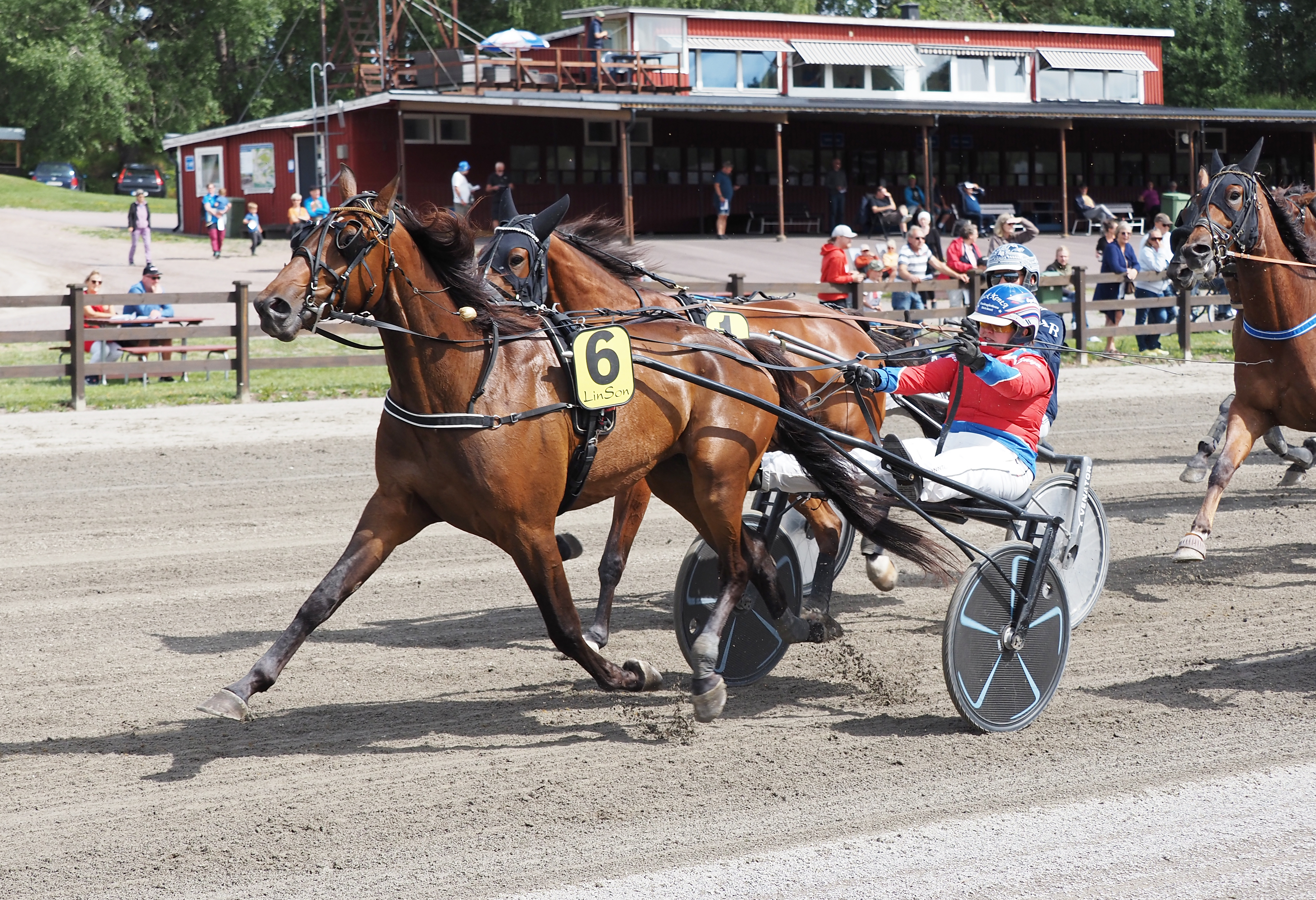 Vinnare av lopp 1 Get Ahead o Enya Gustafsson (.jpg