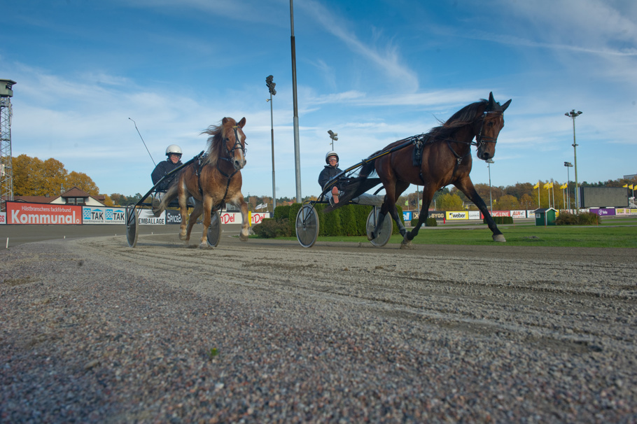 SOLVALLA TRAVSKOLA KÖR PÅ BANAN  -1-6.JPG